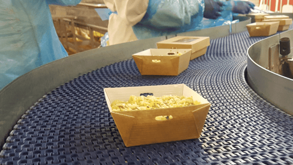 Food manufacturing production line